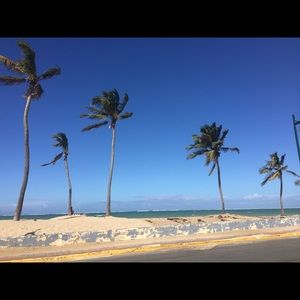 Meet your Posher, Annie